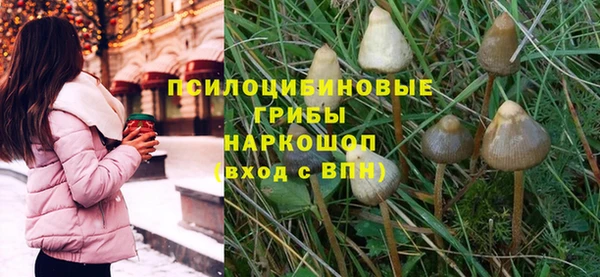 амф Алзамай
