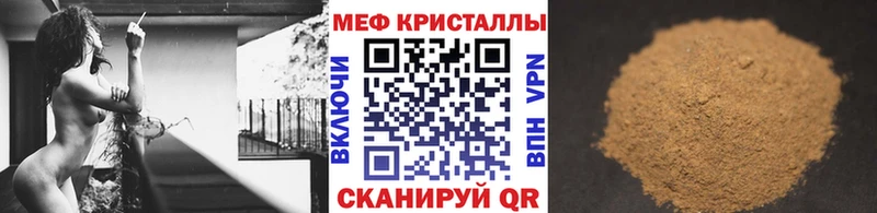 мориарти телеграм Камышин МЯУ-МЯУ мяу мяу